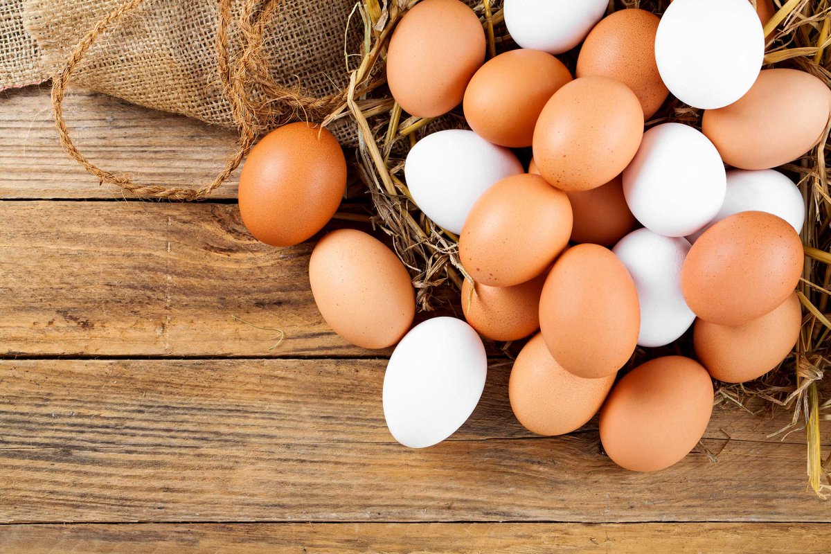 Какие должны быть домашние яйца. Домашние яйца. Реклама яиц. Яичные товары. Яйца и яичные продукты.