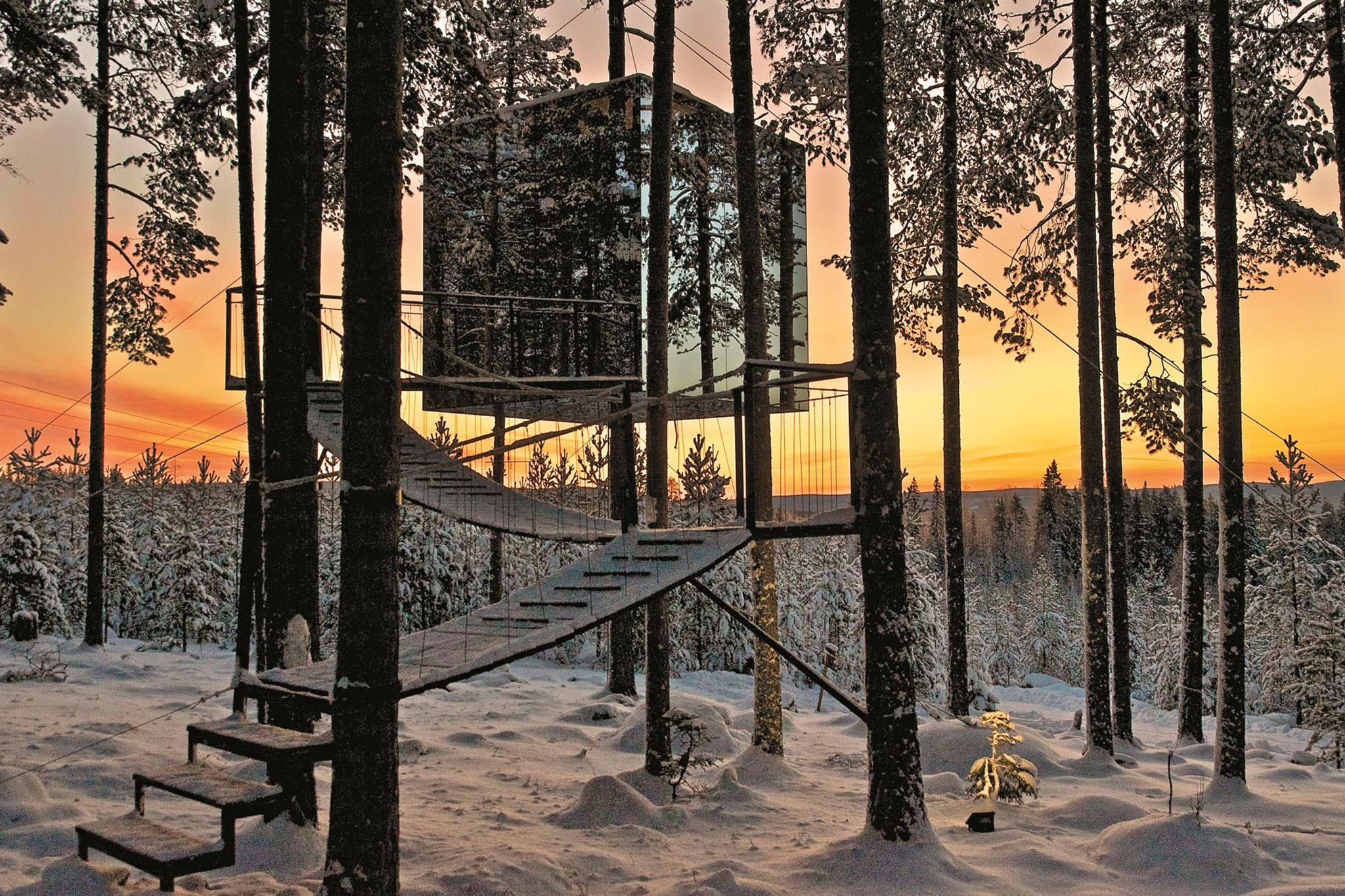 Отель tree. Tree Hotel Швеция Харадс. Отель Treehotel в Швеции. Отель на деревьях Treehotel Швеция. 13. Tree Hotel Швеция, Харадс.
