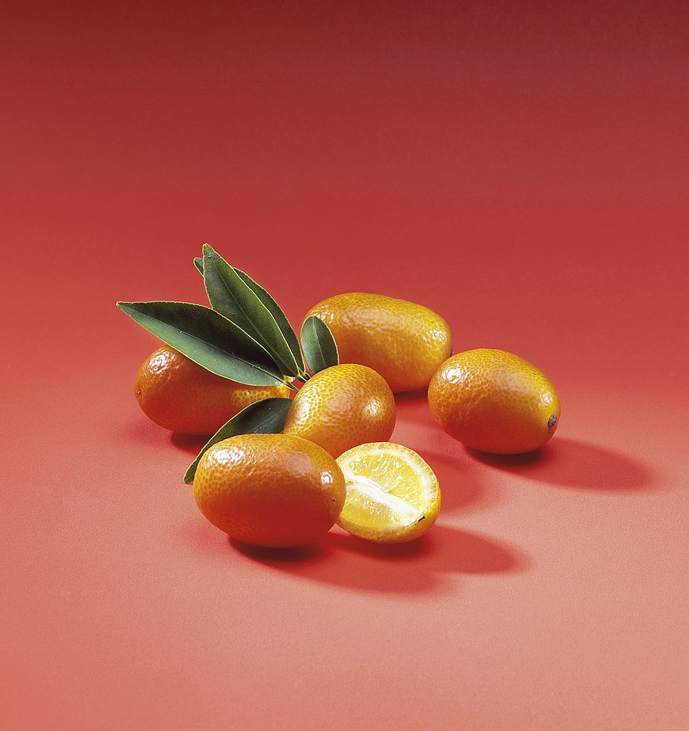 Кумкват плоды. Кумкват. Цитрусовый фрукт кумкват. Кумкват Эстетика. Кумкват оранжевый.